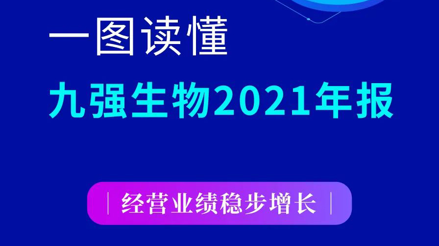 一图读懂B体育(中国)一站式服务平台2021年报