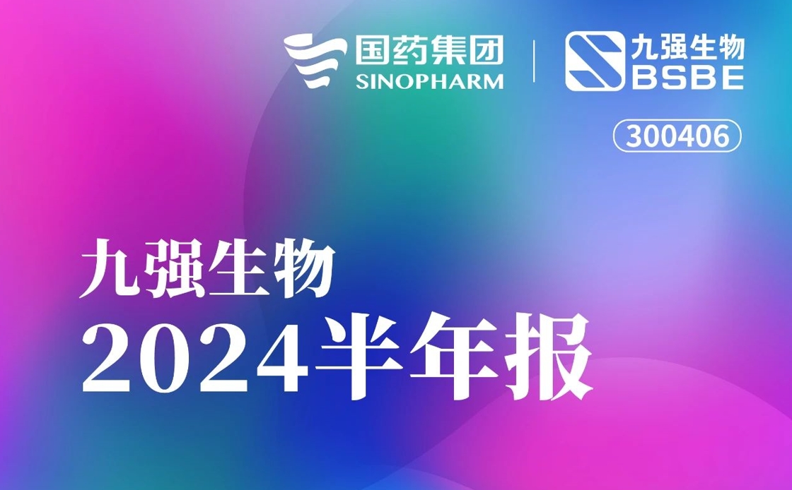 一图读懂B体育(中国)一站式服务平台2024半年报