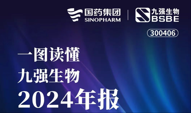 一图读懂B体育(中国)一站式服务平台2024年报